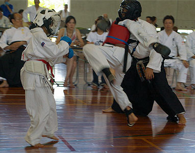 第34回 拳正会 全国空手道選手権大会（2008年）