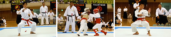 第36回 拳正会 全国空手道選手権大会（2010年）