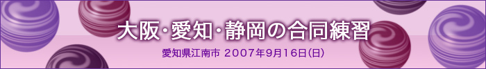 2007年大阪・愛知・静岡の合同練習｜拳正会空手道連盟
