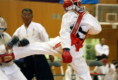 第38回 拳正会 全国空手道選手権大会（2012年）