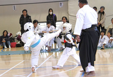 第４回拳正会東海空手道選手権大会（2013年）