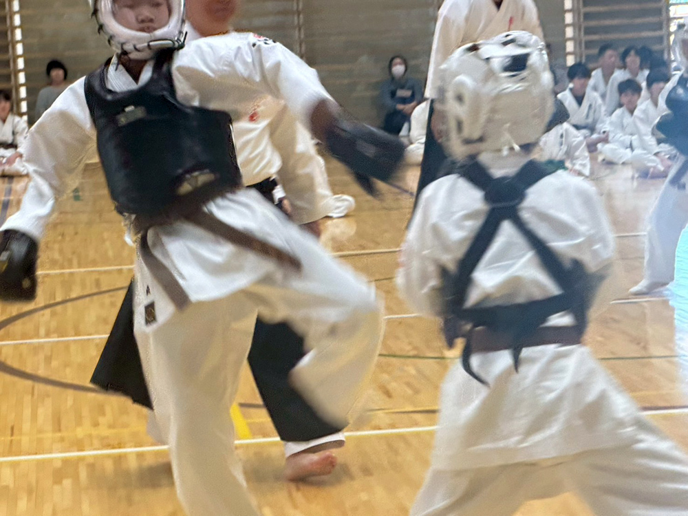 2026年2月合同昇級昇段審査